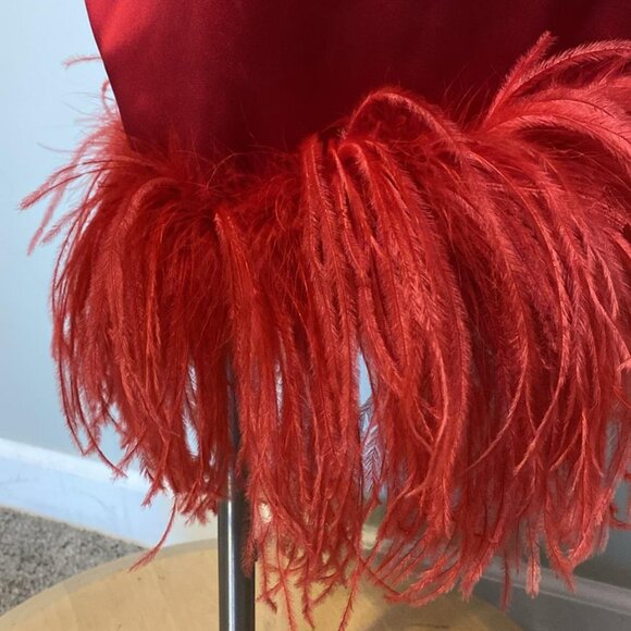 16Arlington strapless dress with feather trim - Picture 4 of 12